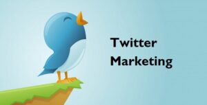 Twitter bird illustration from the original social media marketing page